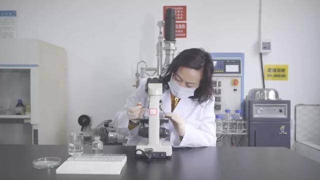 白参菌的功效与作用，白参的功效与作用（生在海拔1000米的珍稀菌菇）