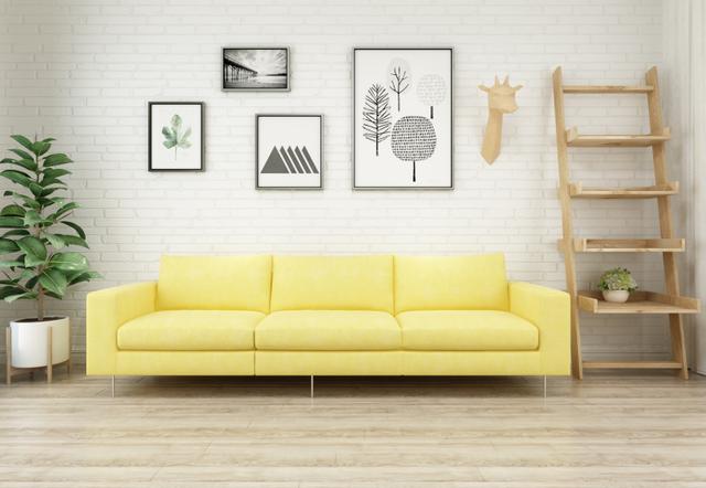 风水植物有哪些，风水树有哪些（家里一定要有这几种植物）