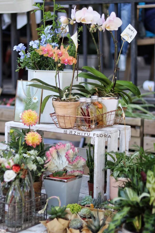 北京高端花店有哪些，帮你把北京的春天叫醒