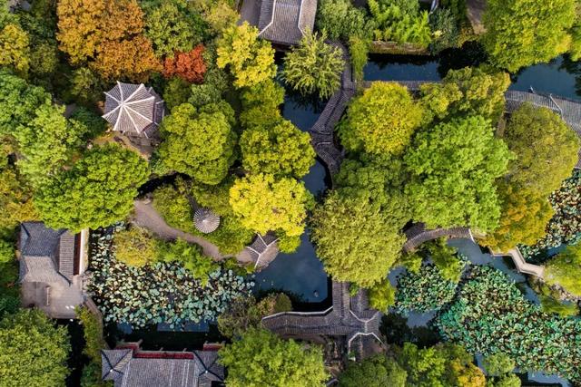 50个容易读错的字，100个一看就会一读就错的字