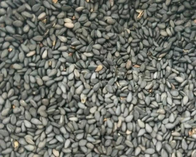 国槐花、洋槐花和红槐花三者的区别，洋槐和槐花有什么区别（槐花分三种，只有一种能吃）