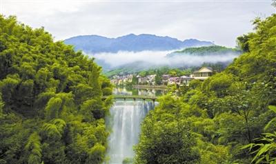 竹世纪，竹子：灵魂深处的精神图腾（竹世纪公司）