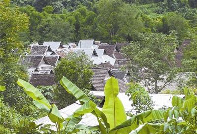 竹世纪，竹子：灵魂深处的精神图腾（竹世纪公司）