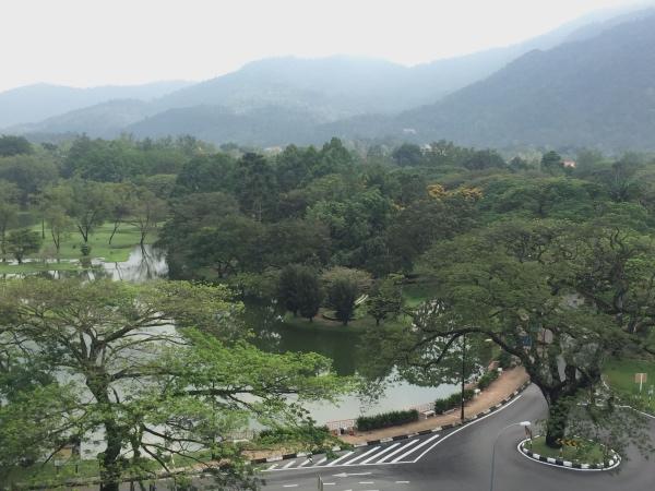 马来的雨的全文赏析，马来西亚的雨课外阅读（太平的太平日子）