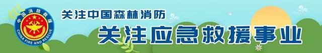 《人生》读后感300字，《人生》读后感300字左右（书香火焰蓝，读《人生》有感）