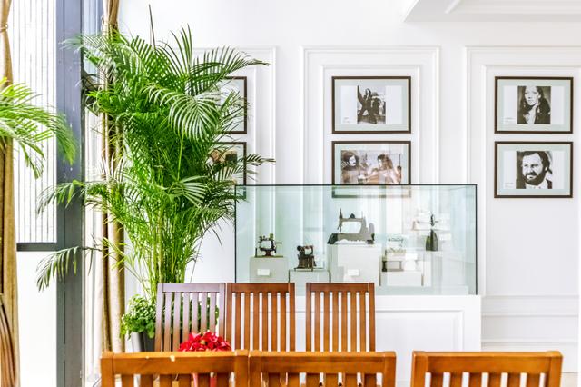 风水植物有哪些，风水树有哪些（家里一定要有这几种植物）