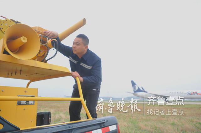 野鸡怎样抓，野鸡怎样抓一（每年跟上万只鸟“斗”）