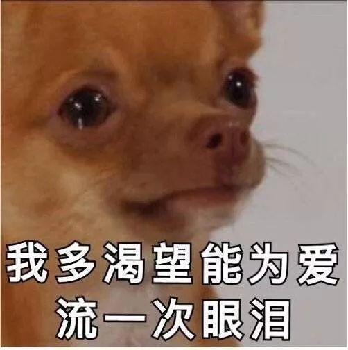 中国电信查话费发什么短信，电信手机卡怎么发短信查话费及流量（中国电信推出查网龄活动）