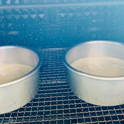 戚风蛋糕胚家常做法，0失败戚风蛋糕胚