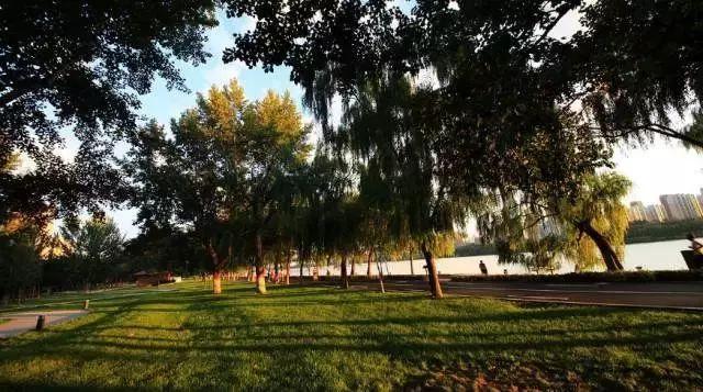 沈阳长白岛森林公园，沈阳长白岛森林公园游记（未来这个区域不可想象）