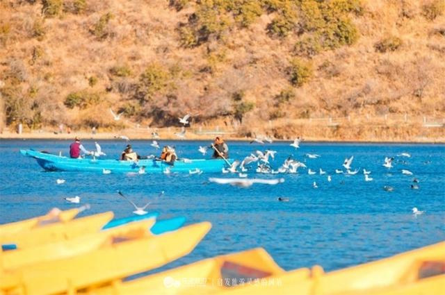 什么是走婚，什么是走婚的女人（摩梭族独特的民风婚俗）