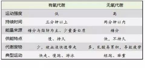 十大无氧运动有哪些，十种简单无氧运动（有氧、无氧傻傻分不清）