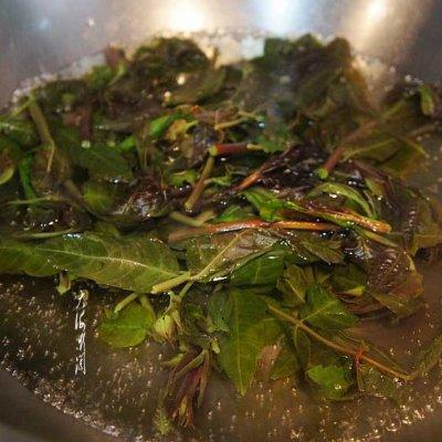 香椿怎么凉拌好吃，香椿凉拌好吃还是炒鸡蛋好吃（凉拌香椿）