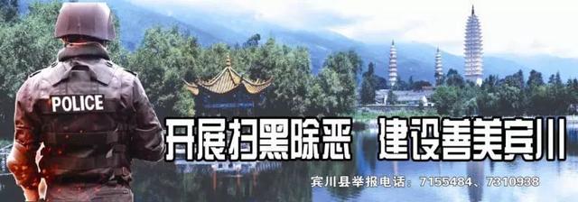 红如意软籽石榴品种怎么样，红如意石榴多少钱一斤（“突尼斯”“红如意”“心太软”“禧年”“南诏”“爽馨”……这种不吐籽的尤物在宾川也火得很）