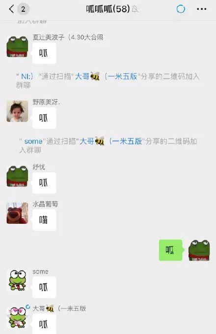 芝麻街，微信头像，芝麻街（你朋友圈里有没有这些“青蛙头像”）
