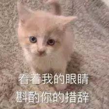 北京丰台母猫绝育多少钱 北京母猫做绝育手术大概多少钱