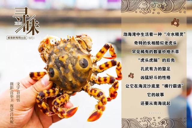 老虎蟹怎么剥壳图解详细介绍(横行南海的小霸王)