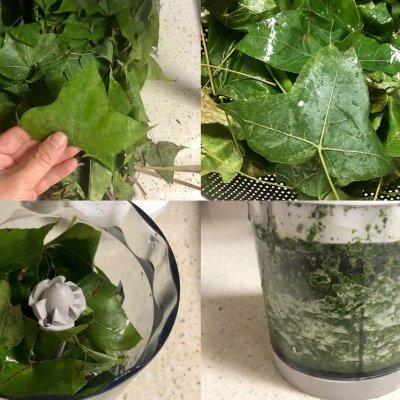 隔水蒸米饭的做法，如何用具备隔水炖功能的炖锅蒸米饭-喜欢蒸饭（乌米饭）