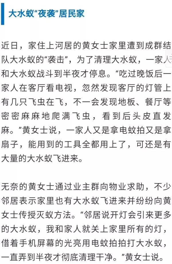 家中如何防治白蚁，家庭的白蚁防治方法（妙招，白蚁“大军”入侵家里）