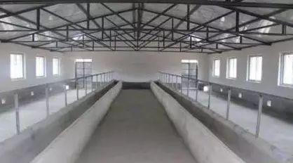 养牛大棚怎么搭建，养牛大棚建设图片（养牛如何建场？如何分析成本）