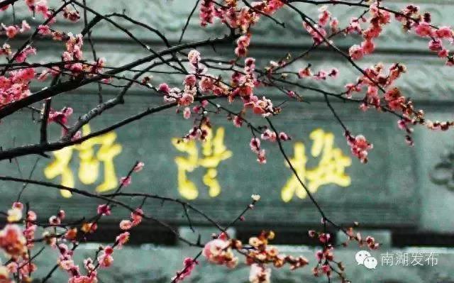 你的地盘你做主！嘉兴人打卡圣地梅湾街新规划出炉了