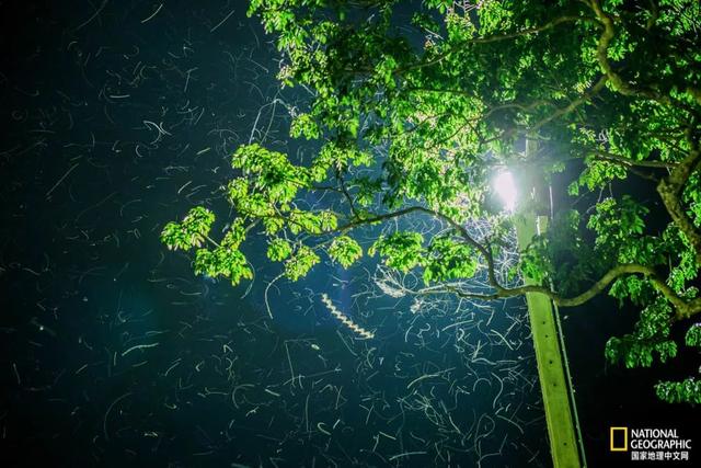 江浙沪是指哪些地方，江浙沪是指哪些地方包括福建吗（居然是江浙沪地区最“黑”的地方之一）