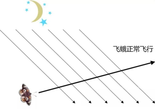 江浙沪是指哪些地方，江浙沪是指哪些地方包括福建吗（居然是江浙沪地区最“黑”的地方之一）