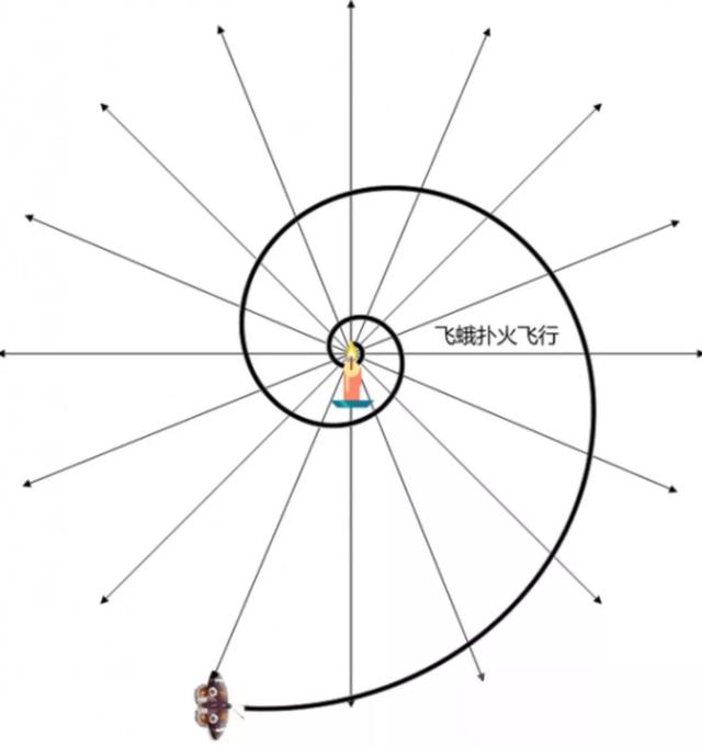 江浙沪是指哪些地方，江浙沪是指哪些地方包括福建吗（居然是江浙沪地区最“黑”的地方之一）