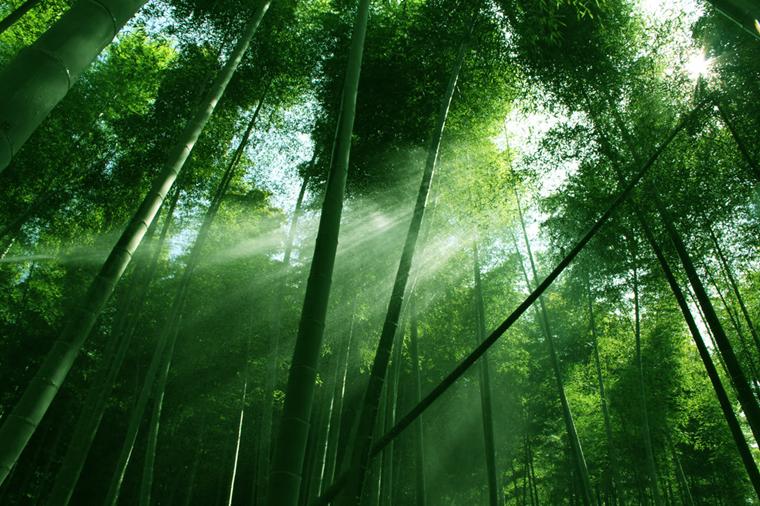 何为钟鼓之乐，是钟鼓乐之还是乐之（诗经）