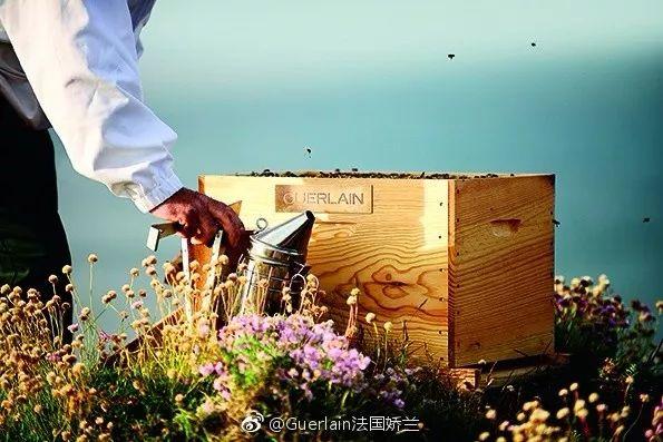 杨洋唯美好看帅气图片，杨洋帅气图片高清（杨洋真的只是换了个发型）