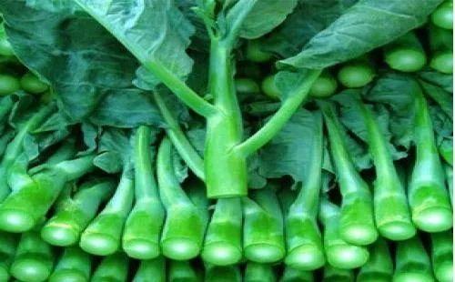 维c的水果有哪些，含维C的水果有哪些（十大富含维C的蔬菜和水果）