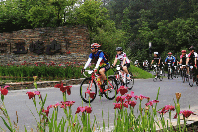 安吉在哪里啊，安吉是哪地方（不花一分钱玩转湖州安吉）