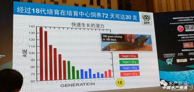 对虾养殖新模式，正大对虾养殖新模式、新情况与前沿趋势