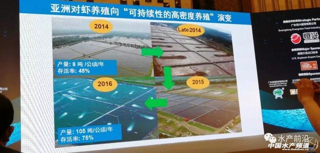 对虾养殖新模式，正大对虾养殖新模式、新情况与前沿趋势