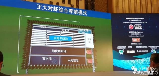对虾养殖新模式，正大对虾养殖新模式、新情况与前沿趋势