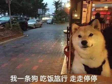 微信红包有收取上限吗，微信红包收取上限是多少个呀（网友：这下没理由发5.20了）