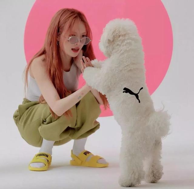 herbatint，herbatint染发剂怎么用（黄磊 13 岁女儿染发被骂）