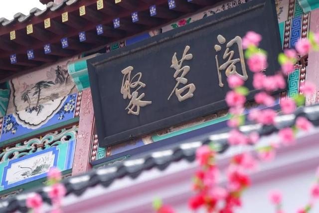 厦门文化：厦门茶文化，厦门文化（一场茶文化盛宴等你来）