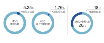 msci是什么意思，MSCI是什么意思（一图看尽MSCI）