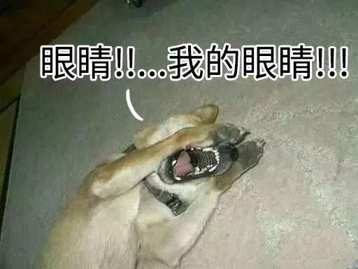 男人右眼跳是财还是灾，中午男人右眼跳是财还是灾（左眼跳财，右眼跳灾）
