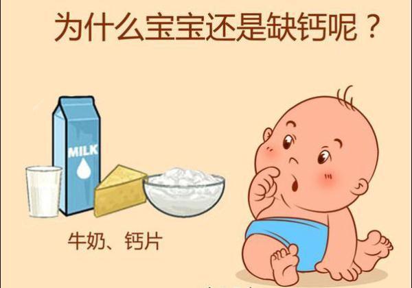 小孩能吃生蚝吗，小朋友能吃生蚝吗（宝妈不懂给孩子吃）