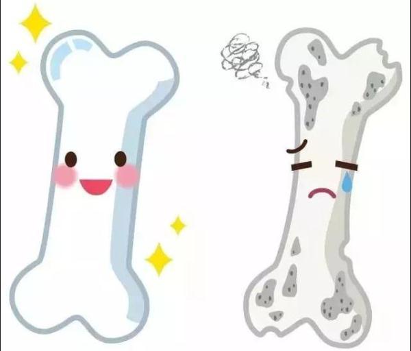 小孩能吃生蚝吗，小朋友能吃生蚝吗（宝妈不懂给孩子吃）