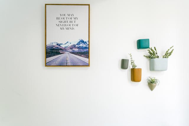 风水植物有哪些，风水树有哪些（家里一定要有这几种植物）