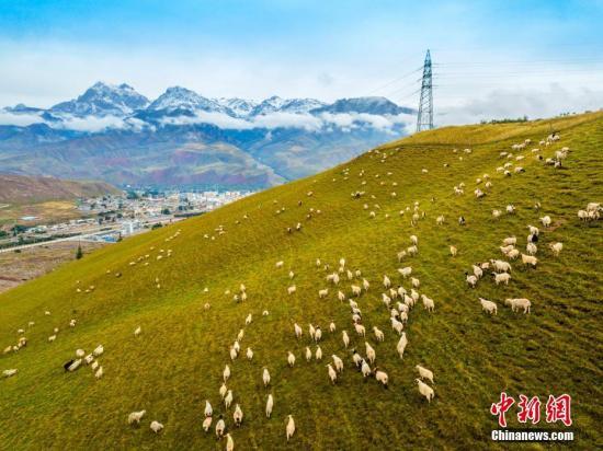 五级三类四体系是指什么，国土空间规划按层级内容分为“五级三类”