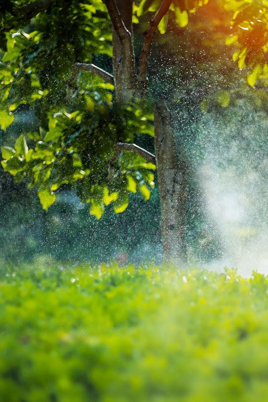 城市热岛效应是指城市中的气温明显高于，城市热岛效应是指城市中的气温明显（这边清新自然）