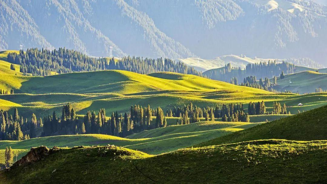 城市热岛效应是指城市中的气温明显高于，城市热岛效应是指城市中的气温明显（这边清新自然）