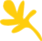 防火措施主要有哪些，防火的预防措施有哪些（四种防火基本方法）