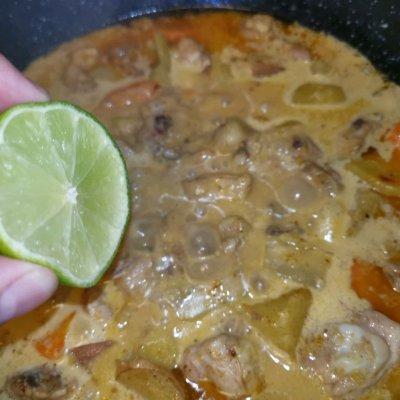 椰香咖喱鸡怎么弄，椰香咖喱鸡块（东南亚椰香咖喱鸡）