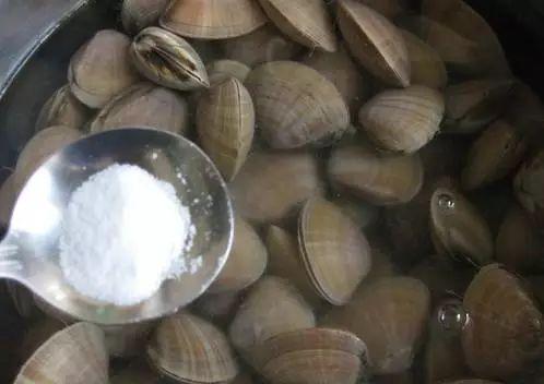 墨鱼如何清洗，常见海鲜清洗大全