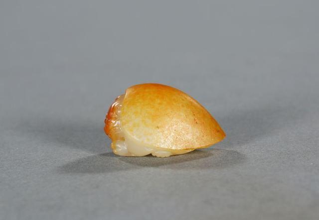 龙头龟身是什么吉祥物，龙头龟身是什么吉祥物图片（佩戴摆放需谨慎…）